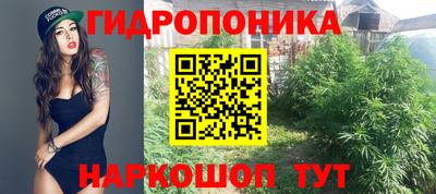 гидра Наро-Фоминск