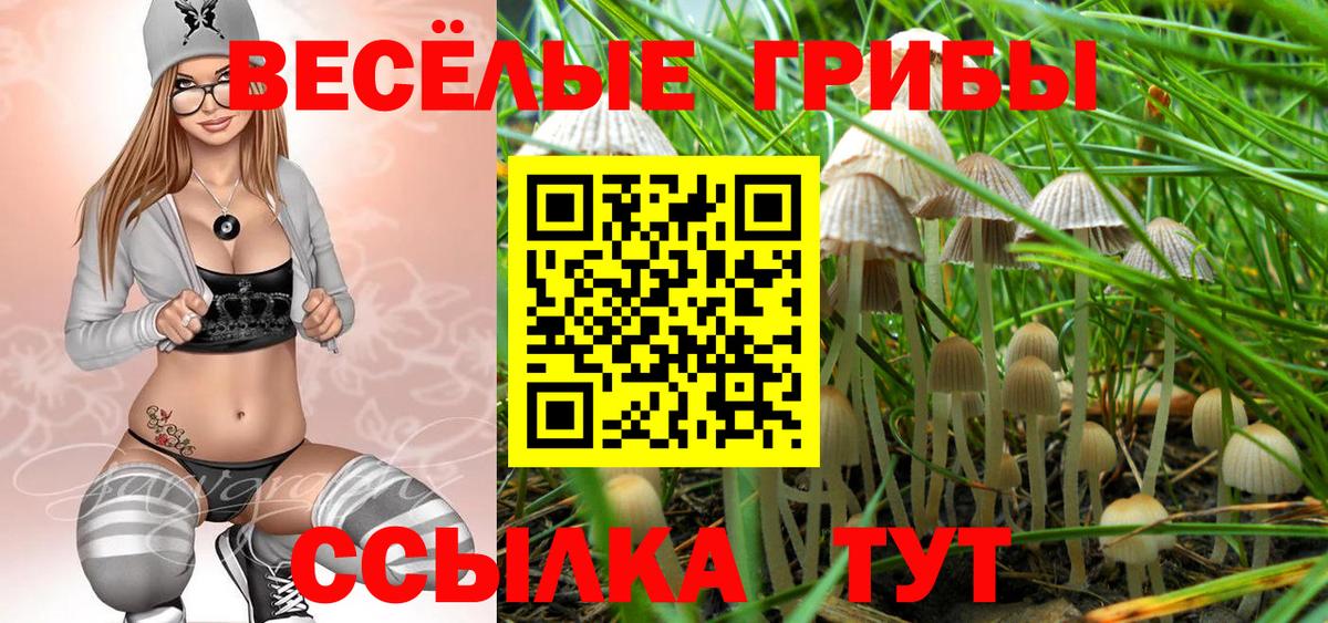 Псилоцибиновые грибы Magic Shrooms Ульяновск