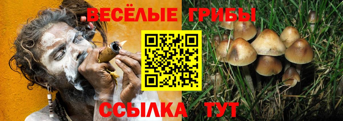 Ульяновск  Псилоцибиновые грибы Psilocybine cubensis  Вход с VPN 